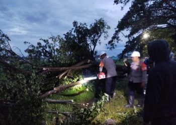 Respon Cepat, Anggota Brimob di Cirebon Evakuasi Pohon Tumbang di Desa Winong