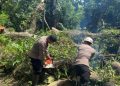 Brimob Jabar Siaga Bencana Evakuasi Pohon Tumbang di Area Wisata Religi SGD