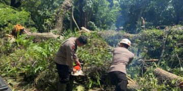 Brimob Jabar Siaga Bencana Evakuasi Pohon Tumbang di Area Wisata Religi SGD