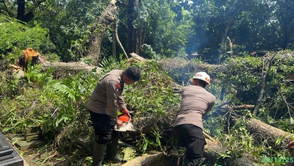 Brimob Jabar Siaga Bencana Evakuasi Pohon Tumbang di Area Wisata Religi SGD